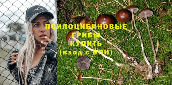 спиды Сатка